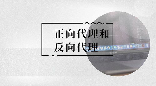 正向代理与反向代理的广告设计策略比较